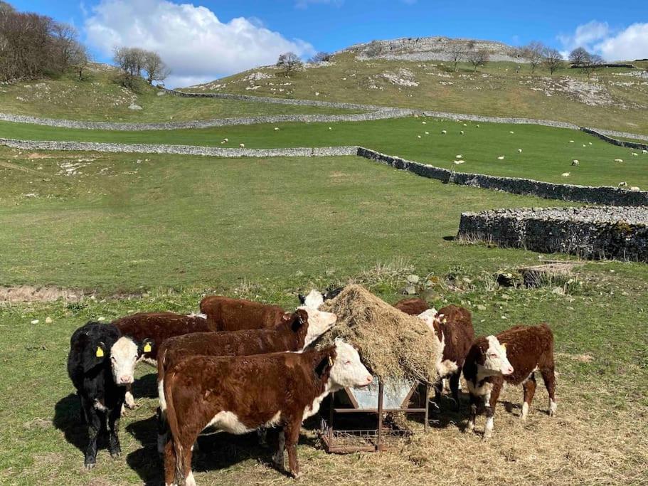 Charming Dog-Friendly Yorkshire Dales Cottage, Austwick Zewnętrze zdjęcie
