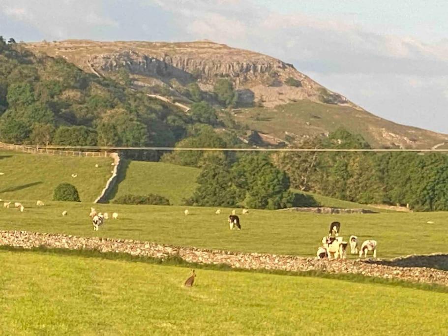 Charming Dog-Friendly Yorkshire Dales Cottage, Austwick Zewnętrze zdjęcie